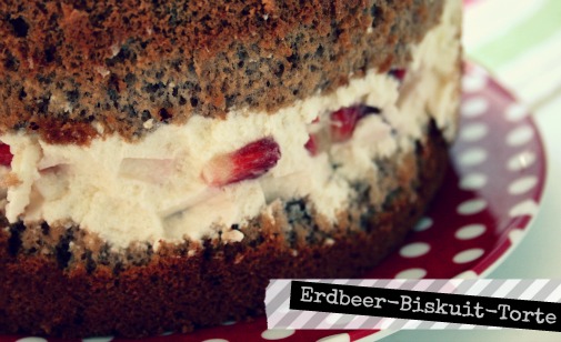 erdbeer-biskuit-torte