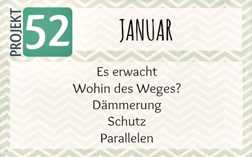 2016-januar