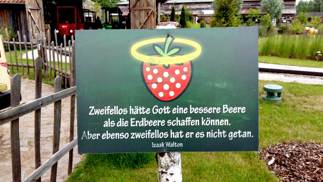 WIB