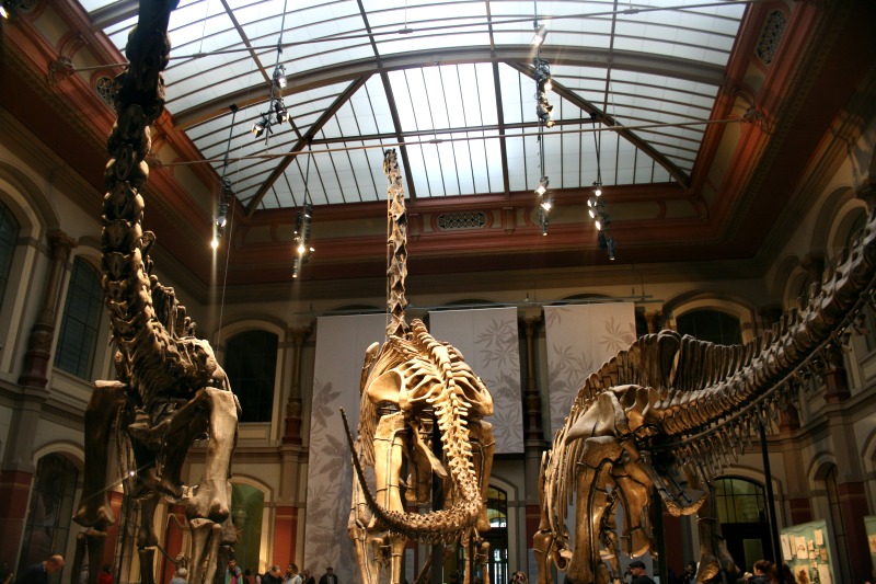 Naturkundemuseum