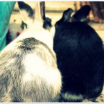 Schoen gestalten – Part 2
