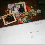 Der Kaninin – Kalender 2009