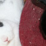 [Tick Tack] 14. Rückblick