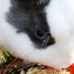[Tick Tack] 16. Rückblick