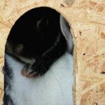 [Tick Tack] 18. Rückblick