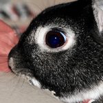 [Tick Tack] 35. Rueckblick