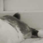 [Tick Tack] 40. Rueckblick