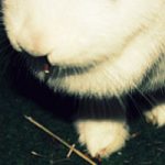 [Tick Tack] 44. Rueckblick
