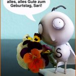 Was ich unbedingt noch zeigen wollte…
