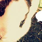 Rückblick [#10]