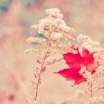 10 Fragen – 10 Antworten