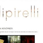 Saris Feedrolle #44