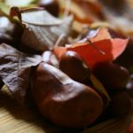 Der Herbst, der Herbst, der Herbst ist da…