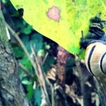 Was ist eigentlich aus dem Garten geworden?