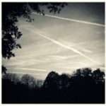 Frohes neues Jahr und ein letztes Mal zurückblicken…
