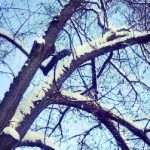 Der Zauber eines Winters…