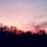 [P52/11] Da laufe ich täglich vorbei…