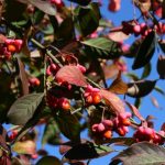 Im Herbst werden wir zu kleinen Schatzsuchern…