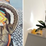 12 von 12 im Februar…nun ist es offiziell…