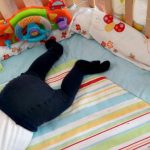 Unser Wochenende in Bildern 30.04.-01.05.: Kinderfeste und Sonnenschein!