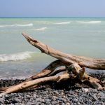 Going out – Noch ein paar Dänemark – Impressionen für Euch?