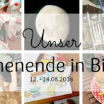 Unser WIB am 12.-14.08. – Ein Pokemonwochenende im Königshaus und 12 von 12