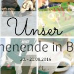 Unser WIB am 20./21.08. mit Fußballparties und Grillfreuden