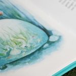 Wie wir den Frühling und das Meer entdeckten #Buchempfehlung