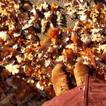 Unser WIB am 12./13.11.2016 – Klirrende Kälte, Pizza und #12von12