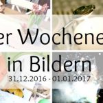 Unser WIB am 31.12.16/01.01.17 mit einem Knall ins neue Jahr!