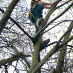 [Mmi] Wir entdecken einen Naturerfahrungsraum