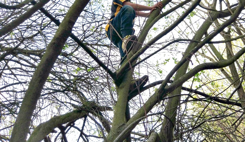 Naturerfahrungsraum