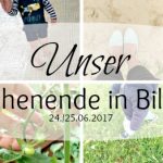Unser WIB am 24./25.06.2017 in netter Gesellschaft