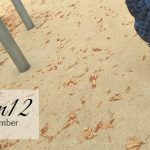 12von12 im September – Der Herbst ist da!