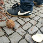 Unser #WIB am 16./17.09.2017 – Sonne, Taschenlampen und Schnupfnasen
