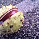 #goingoutblogger im September: Herbstboten #Linkparty