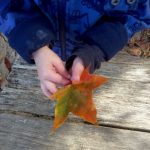 Unser #WIB am 07./08.10.2017 – Feuchtfröhlich und sonnig schön?