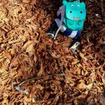 #Freitags5 – 5 Tage 5 Fotos im Oktober #03