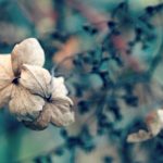 An die #goingoutblogger: Keine Sorge, im Februar geht es weiter!