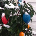 #Freitags5 – 5 Tage 5 Fotos im März #02