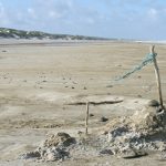 #fünffragenamfünften im März – Wohin ich schon immer mal reisen wollte…