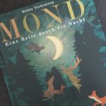 Mond: Eine Reise durch die Nacht von Britta Teckentrup #Rezension