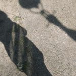 Endlich wieder ein bisschen mehr Wohlfühlen – Unser #WIB am 17./18.03.2018