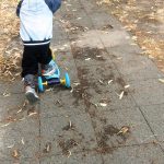 #Freitags5 – 5 Tage 5 Fotos im Juni #05