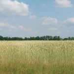 #fünffragenamfünften im Juni und das Rätsel um das andere Geschlecht!