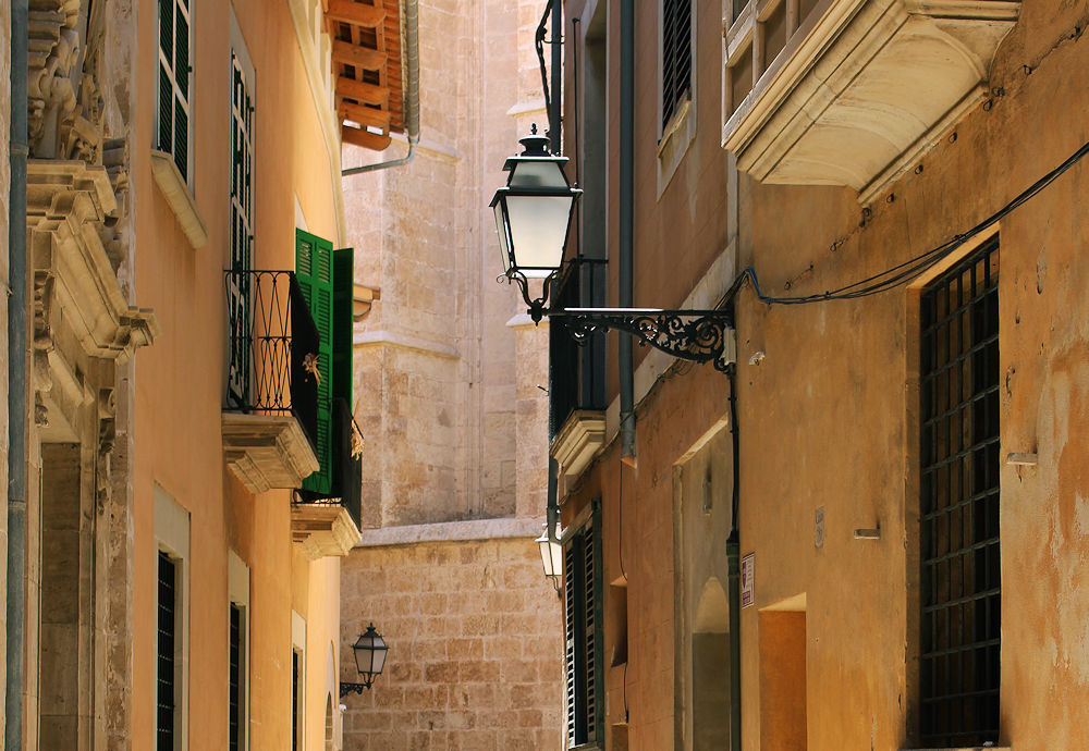 Palma