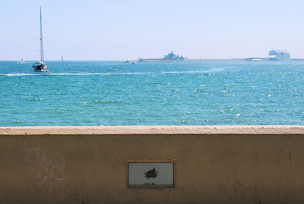 Palma