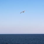 Ist Glück eine Momentaufnahme? – 1000 Fragen an mich (221 – 240)