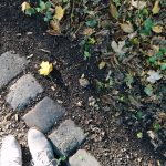 Tagebuchbloggen: Ich stehe am Rand um dich anzufeuern!
