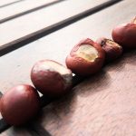Das Spiel seines Lebens… Unser #WIB am 01./02.09.2018